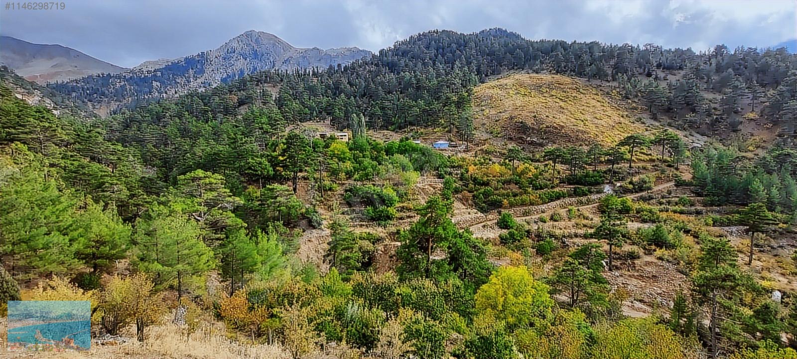 Köprübaşı - Bademağacı Yaylasında Satılık Tarla - Satıl